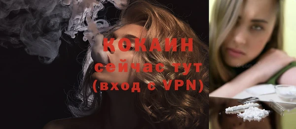 стаф Сатка