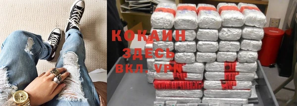 стаф Сатка
