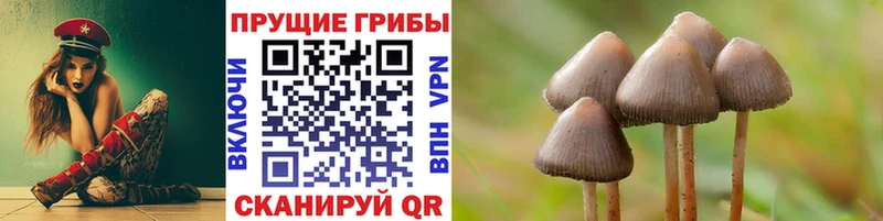 Галлюциногенные грибы ЛСД  Гагарин 