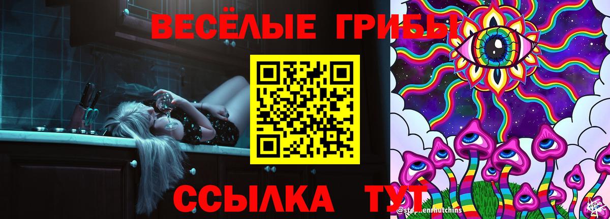 Галлюциногенные грибы GOLDEN TEACHER Гагарин