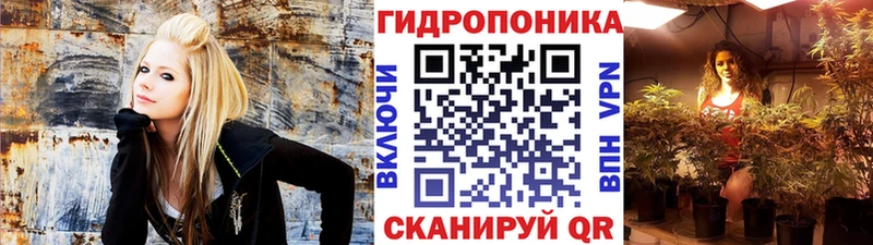купить закладку  Гагарин  Шишки марихуана AK-47 